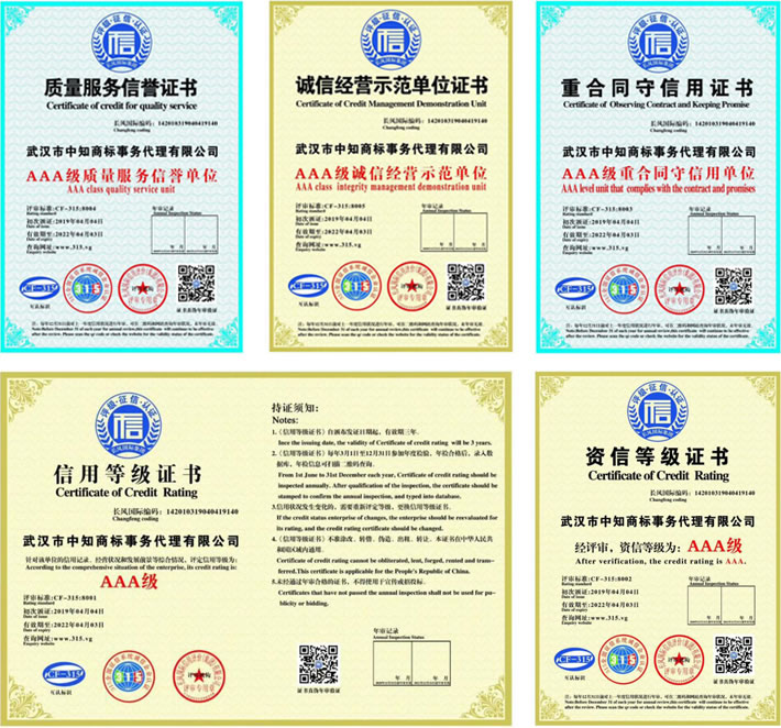 武汉中知商标事务代理有限公司-公司荣誉